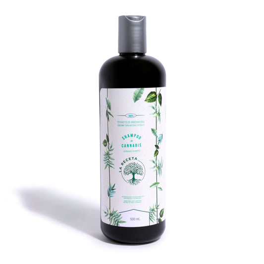 Shampoo de Argán para Cabello Seco 500 ML