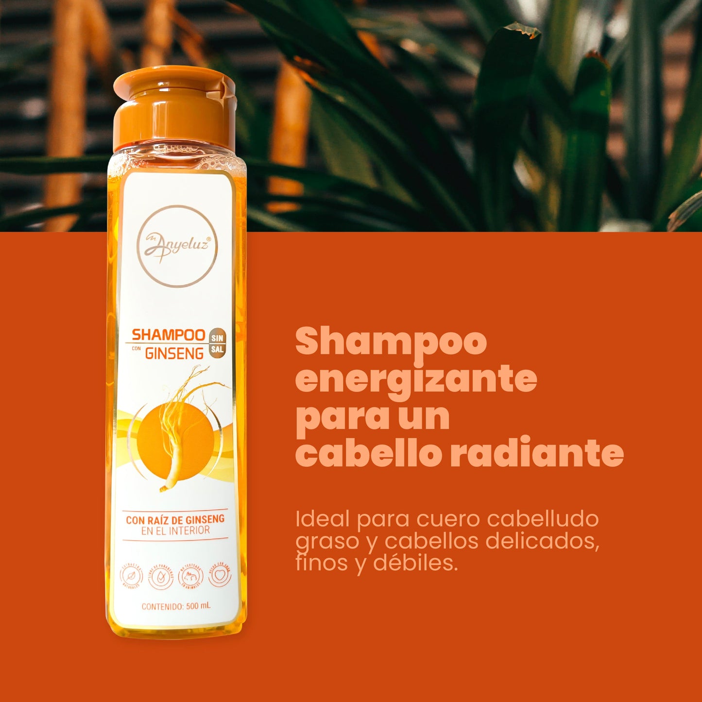 Shampoo con Ginseng 500 ml