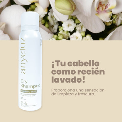 Shampoo Seco 150 ml