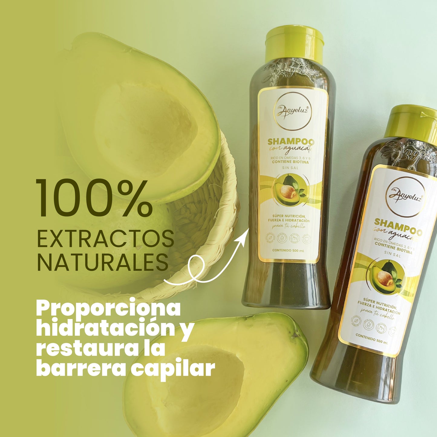 Shampoo con Aguacate 500 ml