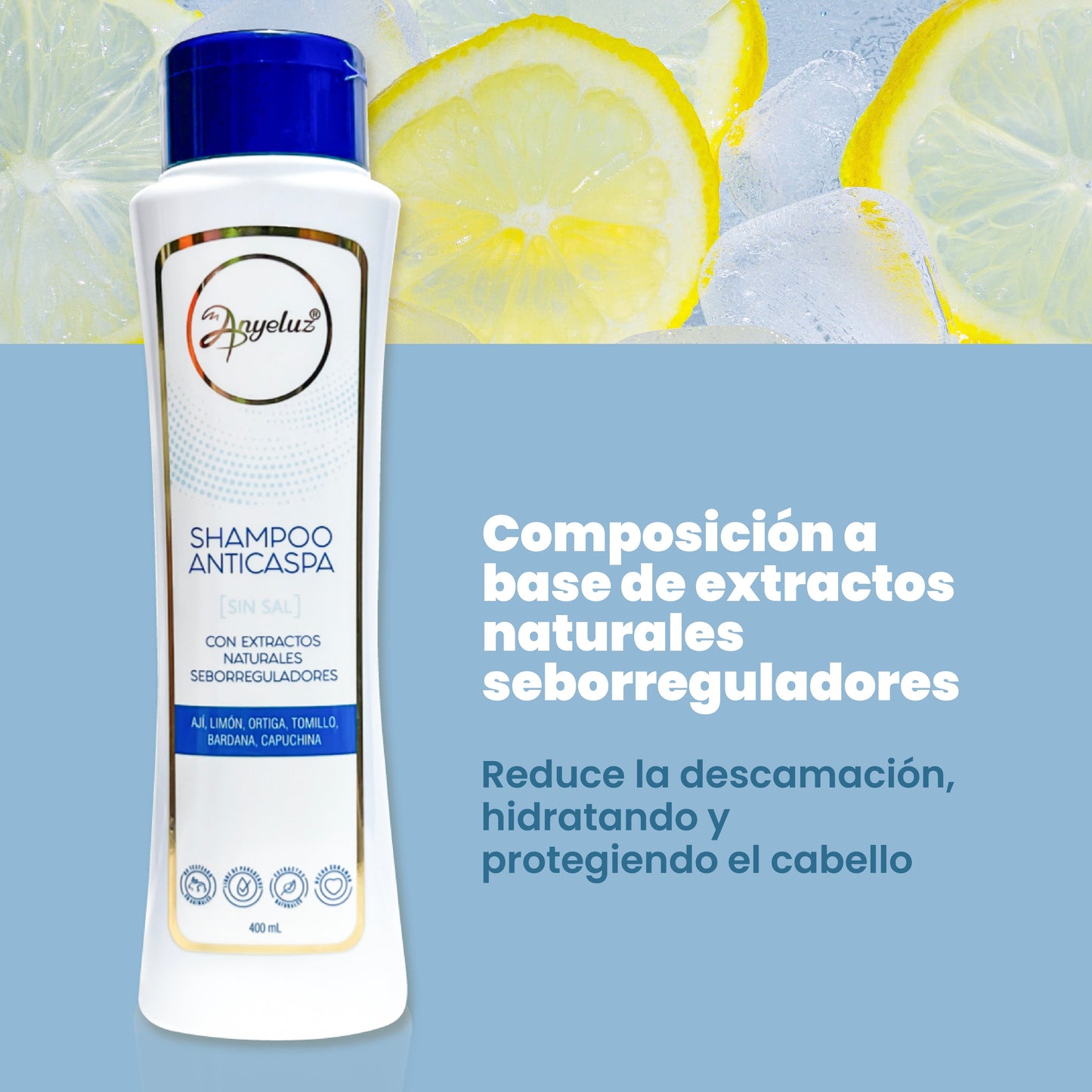 Shampoo Anticaspa 500 ml